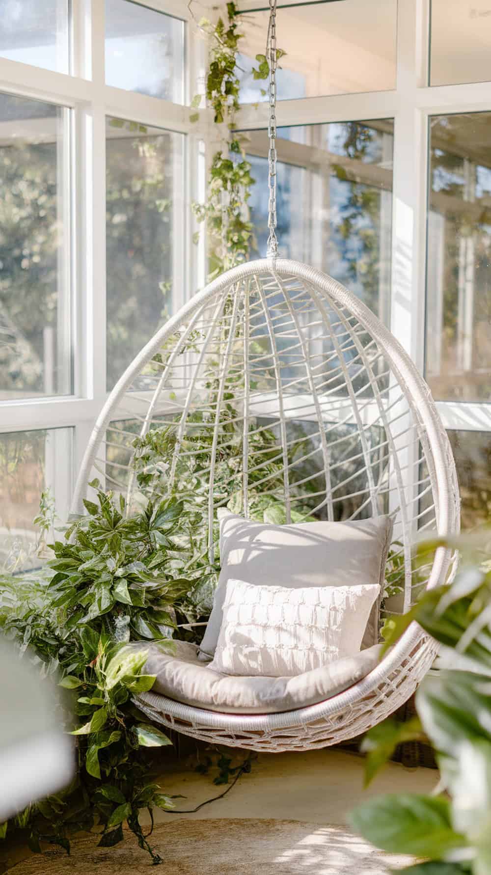 Hanging egg chair in a sunroom corner with plants.