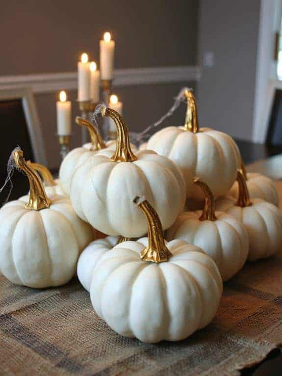 white pumpkins gold stems