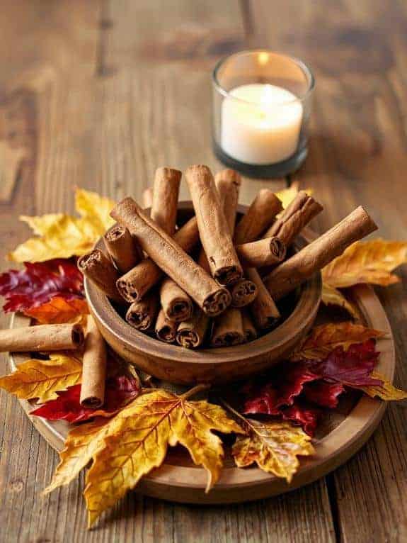 cozy cinnamon stick bundles