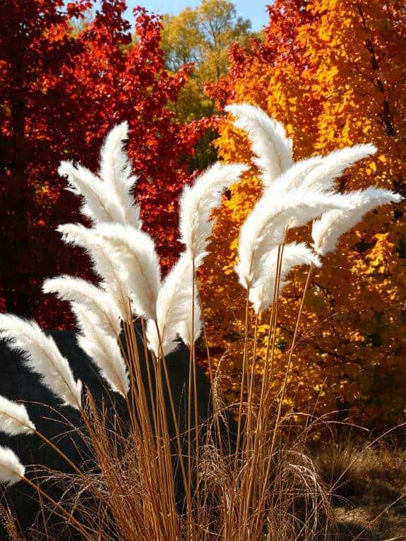 cozy natural home decor