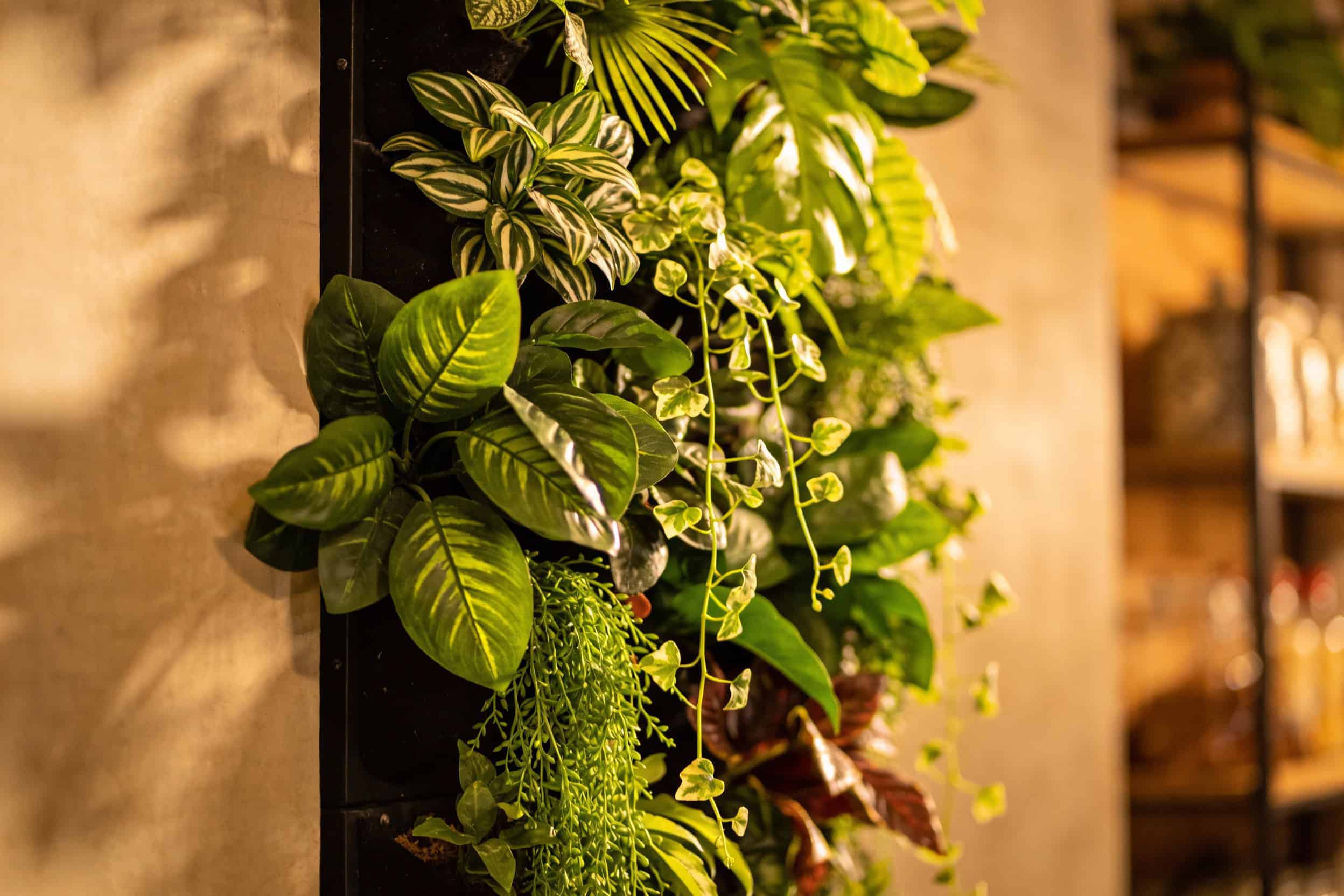 13 Stunning Indoor Plant Wall Ideas That’ll Transform Your Space